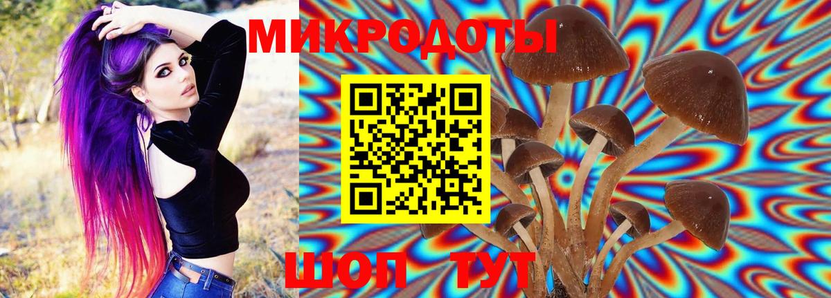 Галлюциногенные грибы ЛСД Кириши